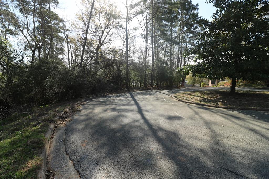 1711 Wickersham Drive, Huntsville, Texas image 20