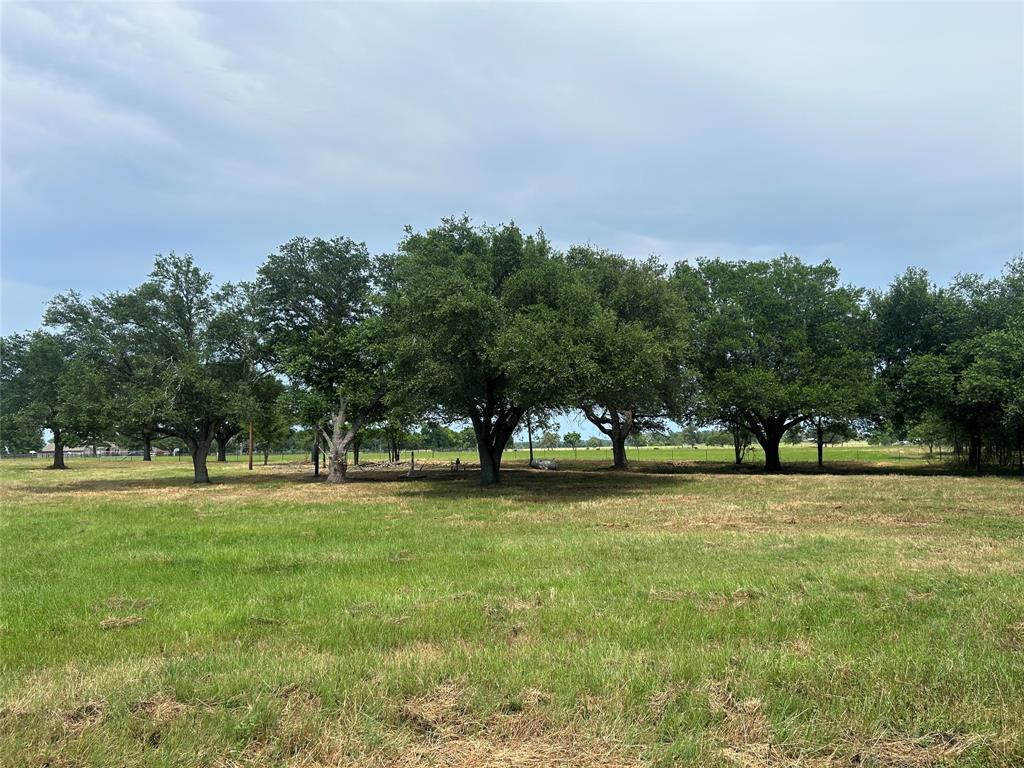 38825 Wiggins Road, Hempstead, Texas image 11