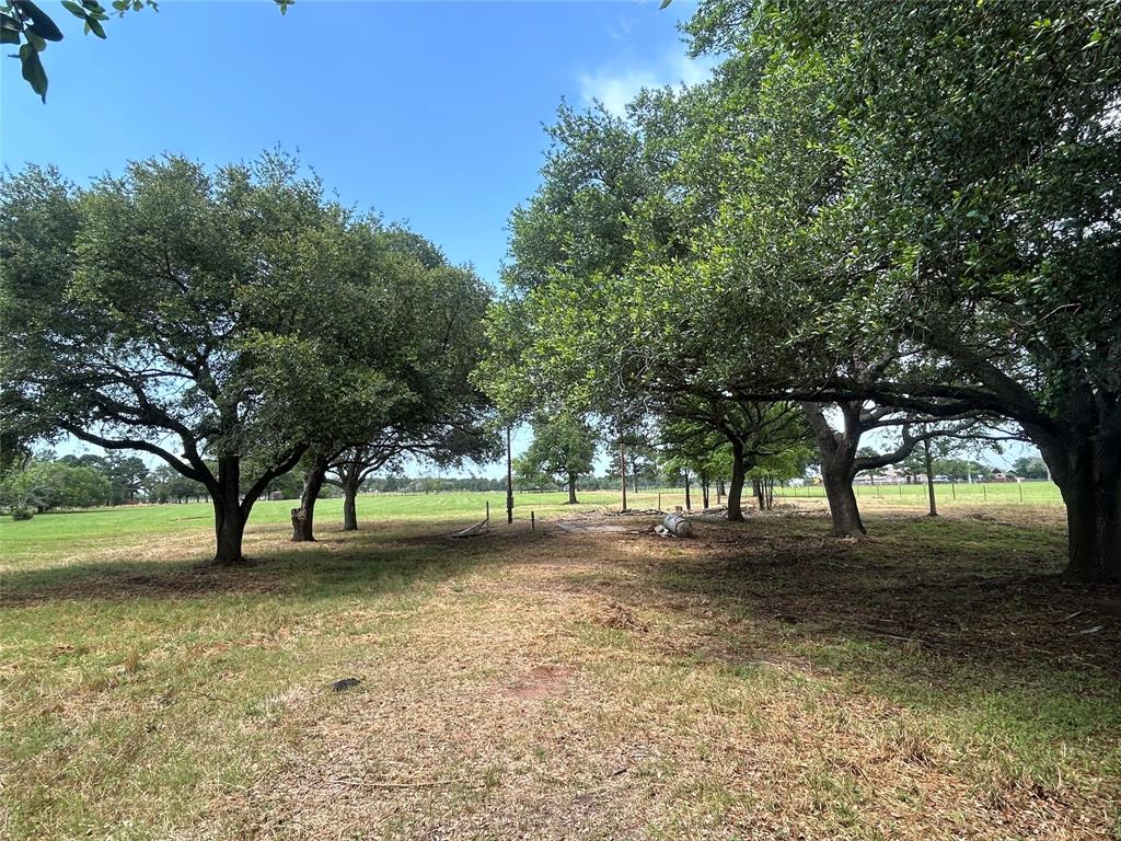 38825 Wiggins Road, Hempstead, Texas image 1