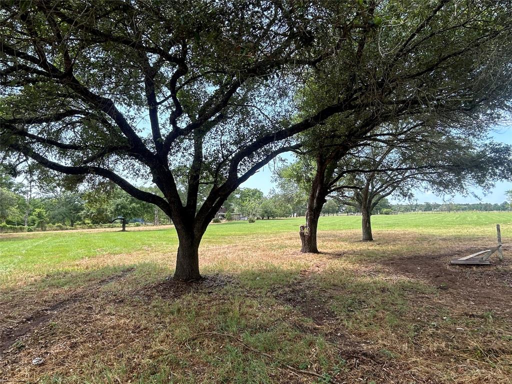 38825 Wiggins Road, Hempstead, Texas image 3
