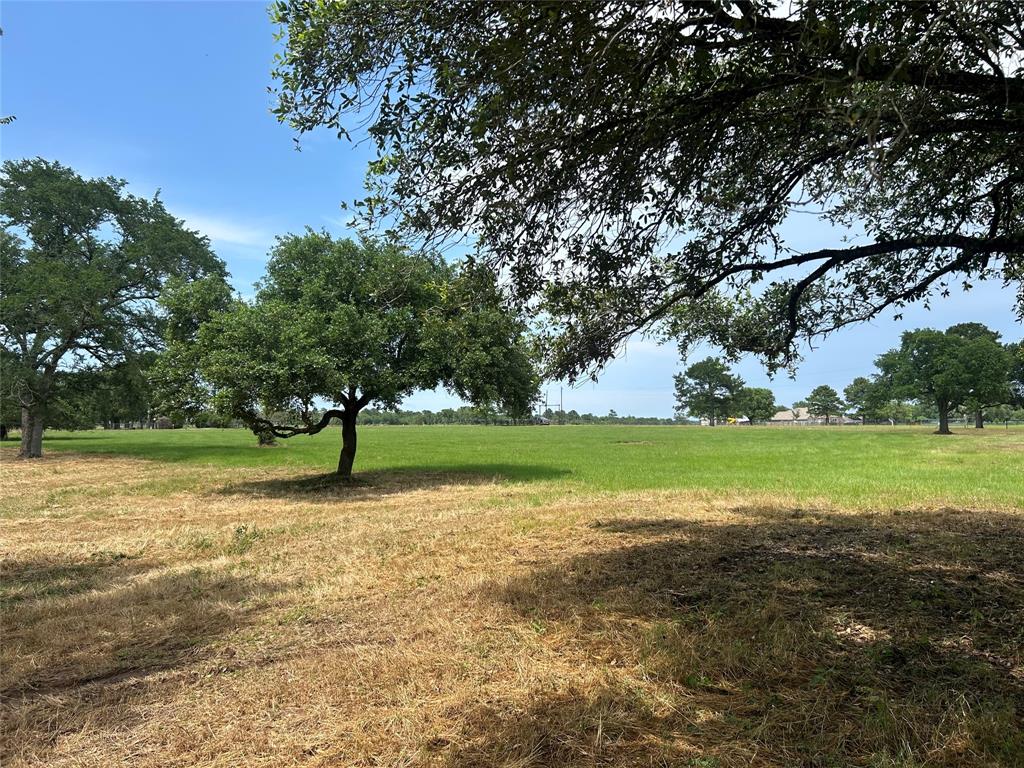 38825 Wiggins Road, Hempstead, Texas image 9
