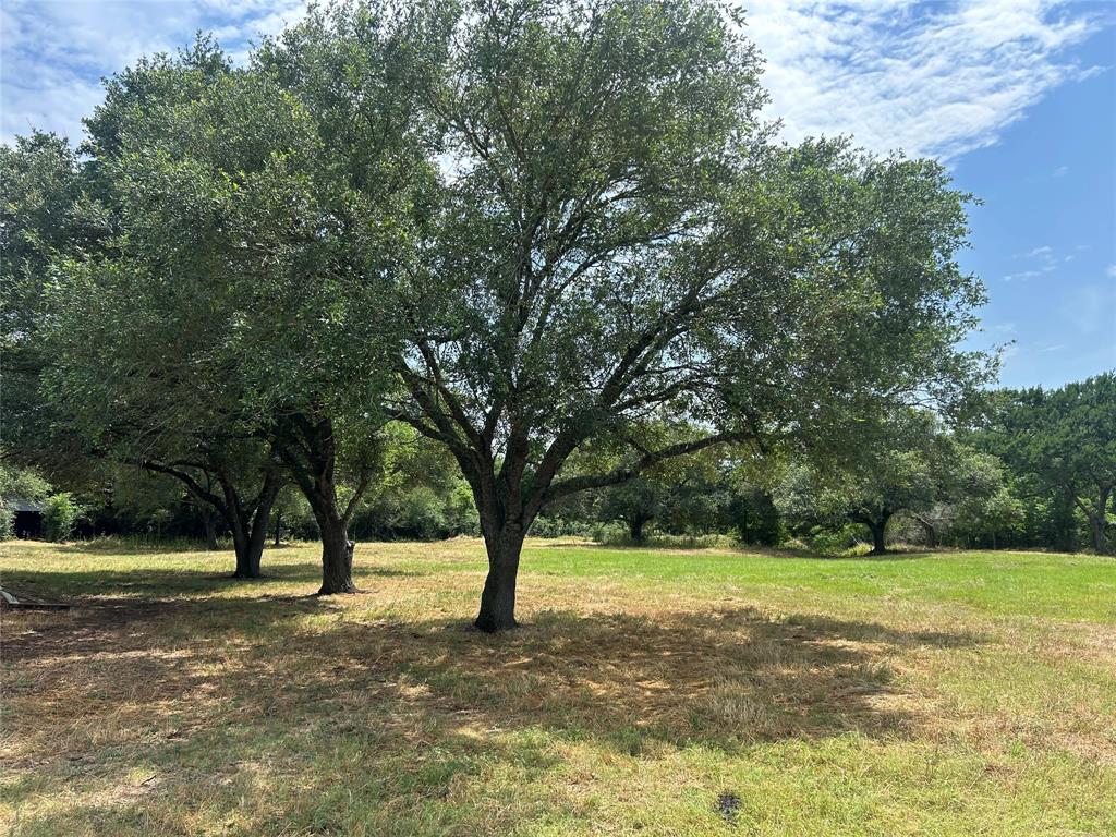 38825 Wiggins Road, Hempstead, Texas image 6