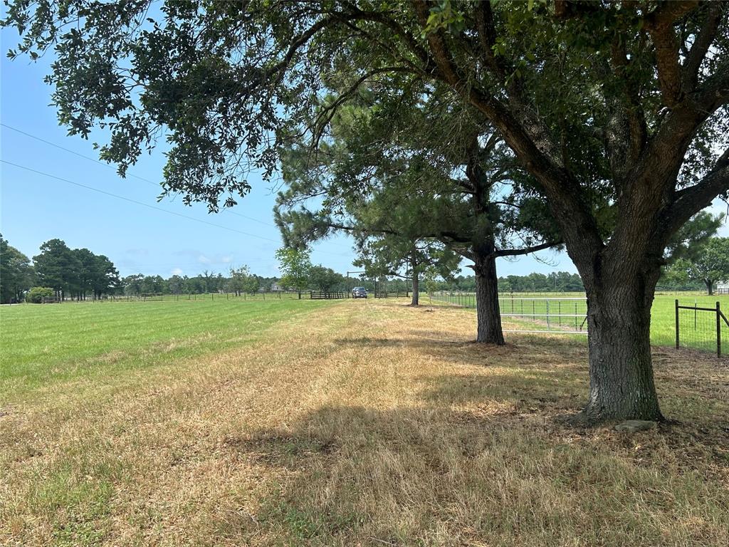 38825 Wiggins Road, Hempstead, Texas image 5