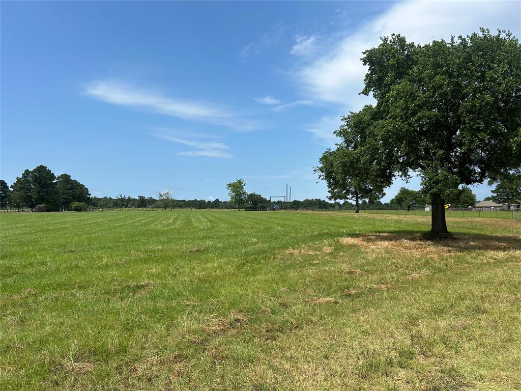 38825 Wiggins Road, Hempstead, Texas image 10