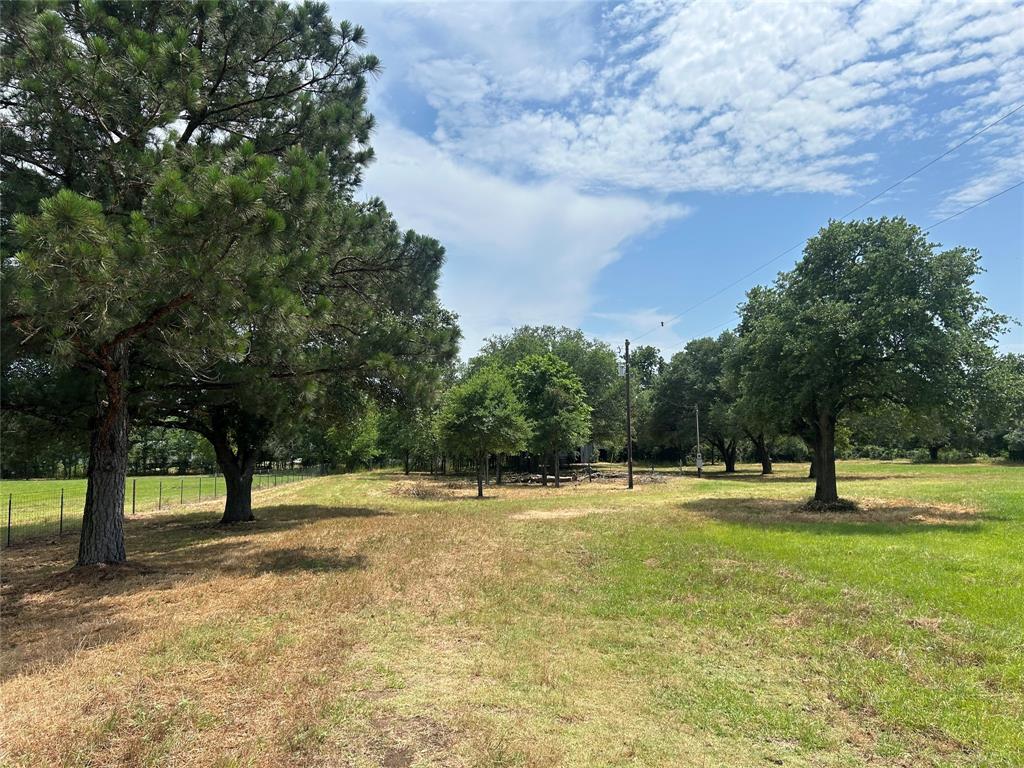 38825 Wiggins Road, Hempstead, Texas image 4