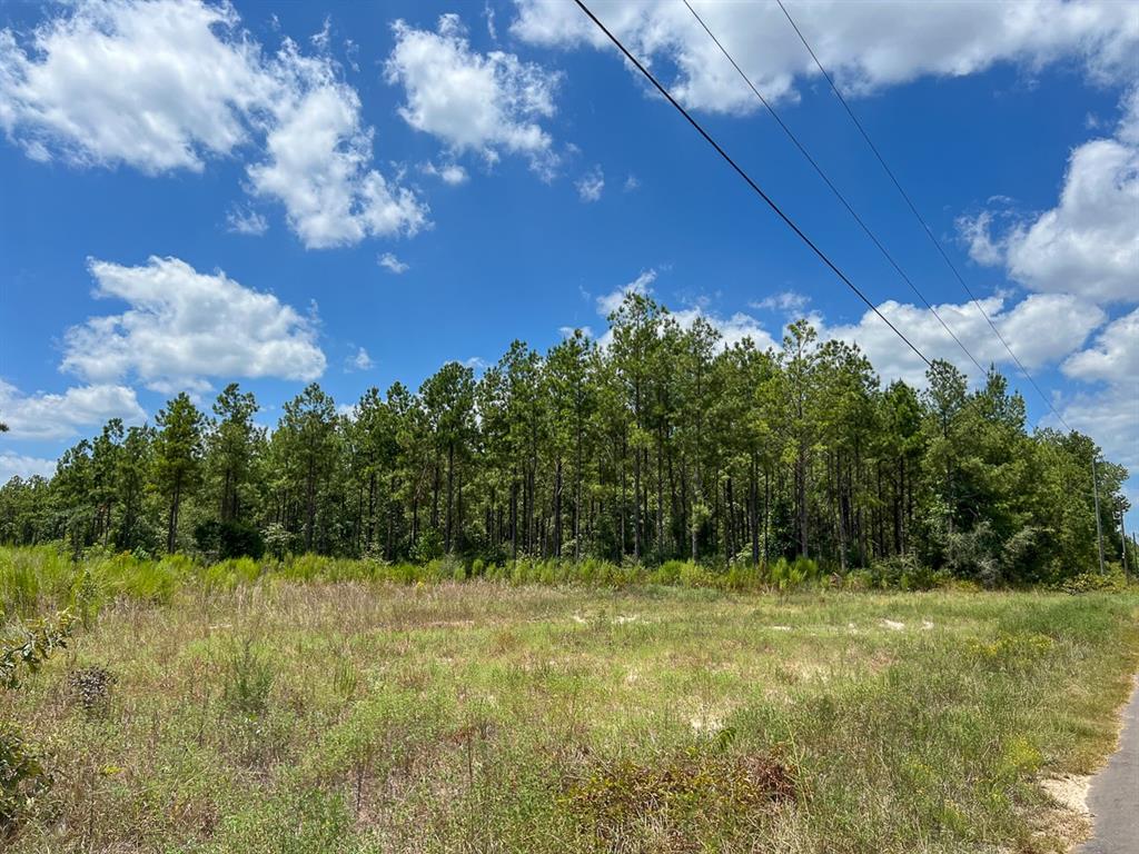 0000 County Road 1420, Warren, Texas image 3