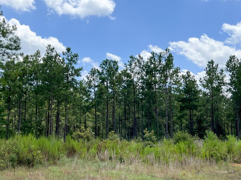 0000 County Road 1420, Warren, Texas image 16