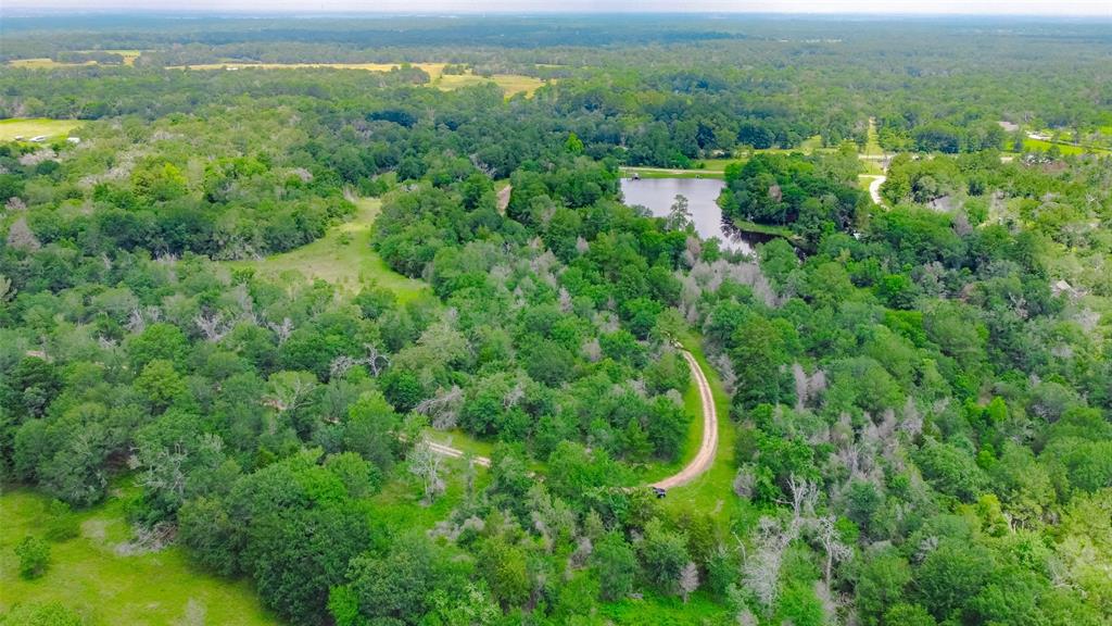 26302 Moose Drive, Hempstead, Texas image 4