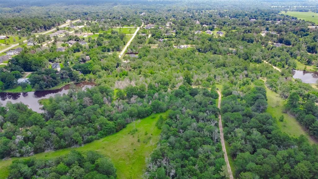 26302 Moose Drive, Hempstead, Texas image 16