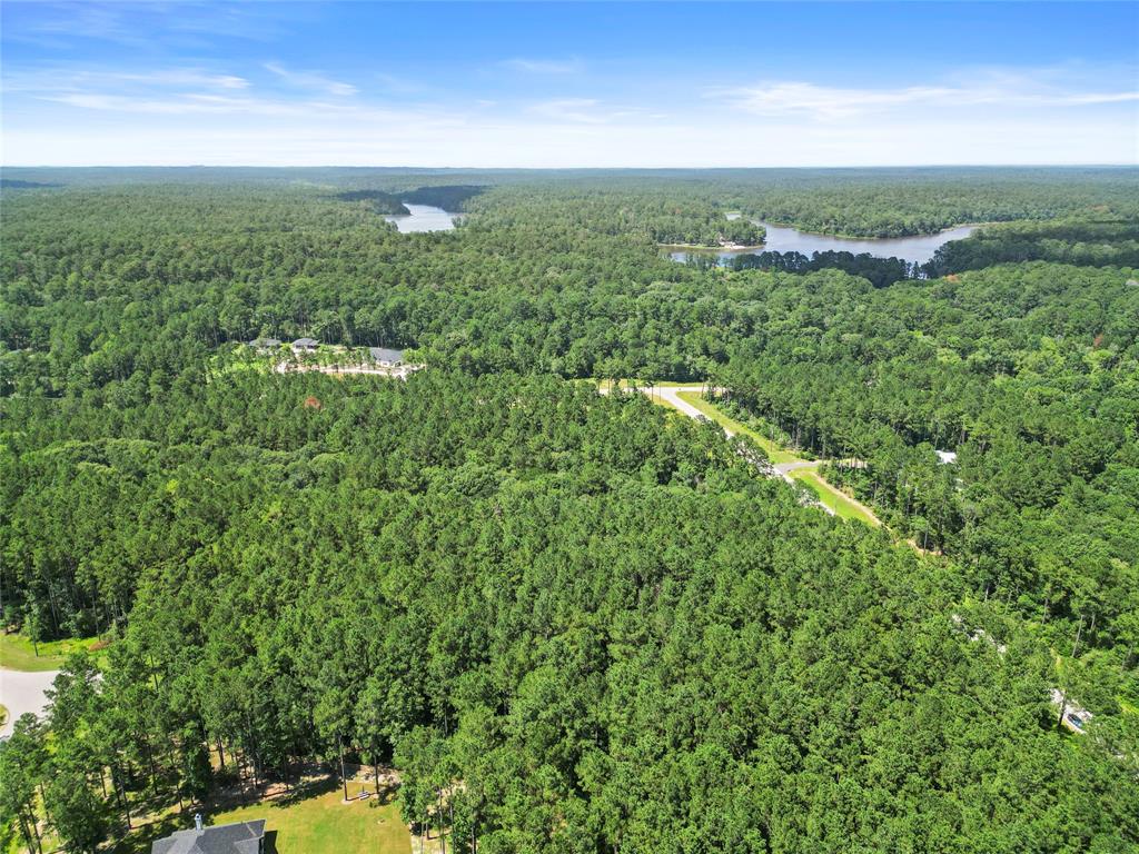 Lot 77 Wagon Pass Drive Drive, Huntsville, Texas image 11