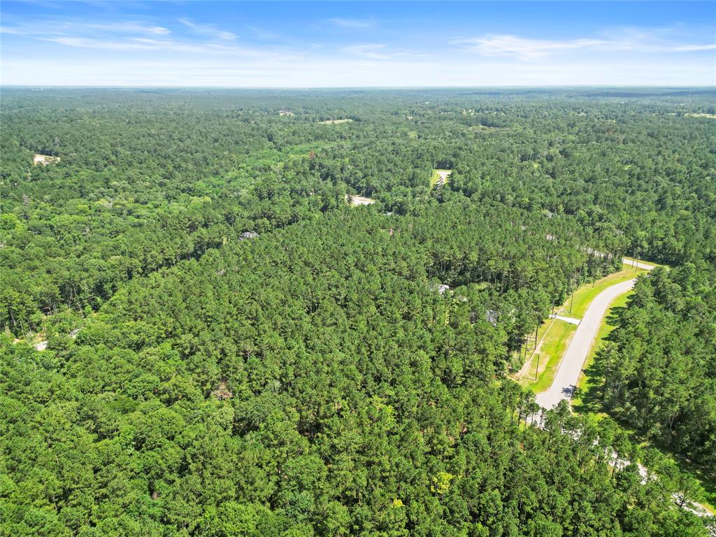 Lot 77 Wagon Pass Drive Drive, Huntsville, Texas image 10