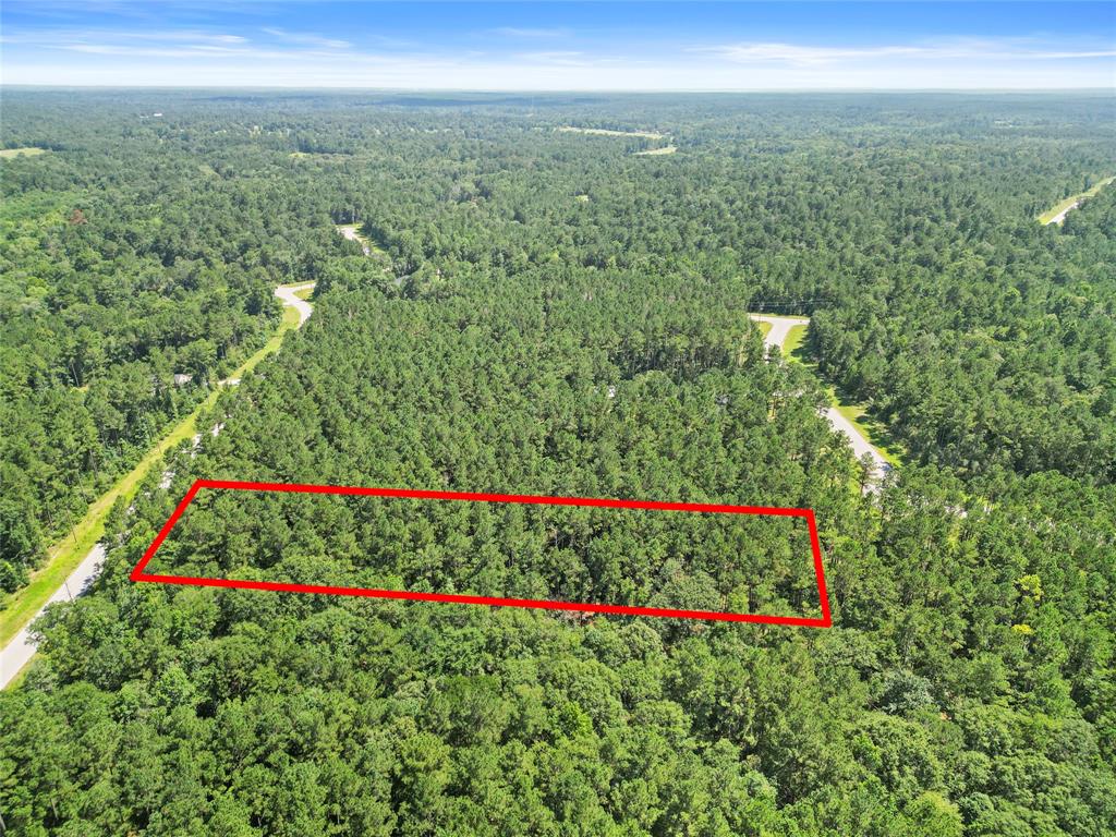 Lot 77 Wagon Pass Drive Drive, Huntsville, Texas image 5