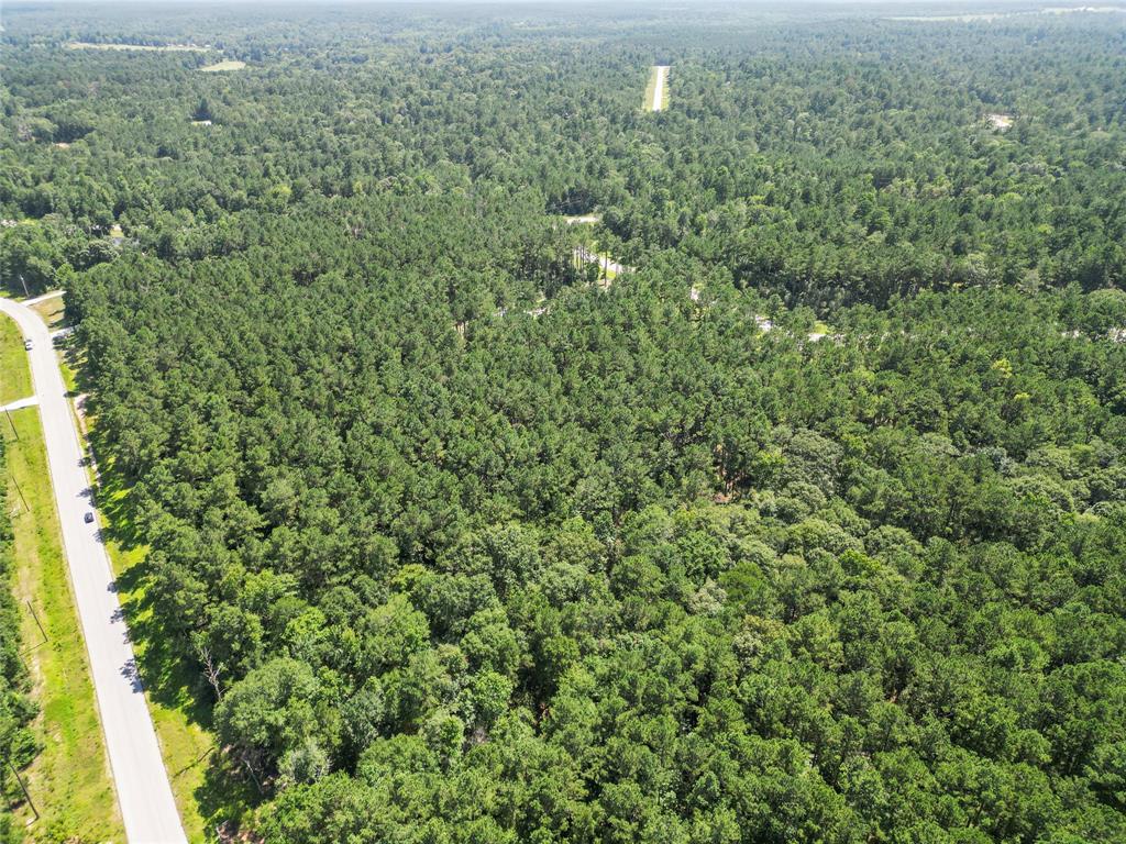 Lot 77 Wagon Pass Drive Drive, Huntsville, Texas image 4