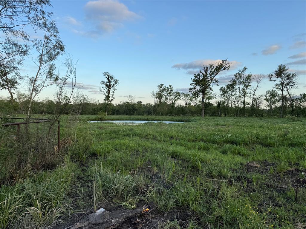 130 Pin Oak Drive, Angleton, Texas image 17
