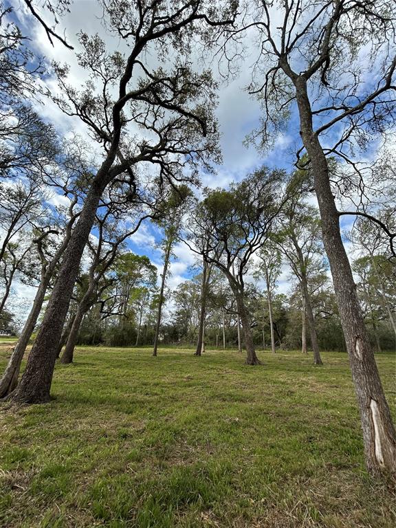 586 Cabana Trail, Angleton, Texas image 20