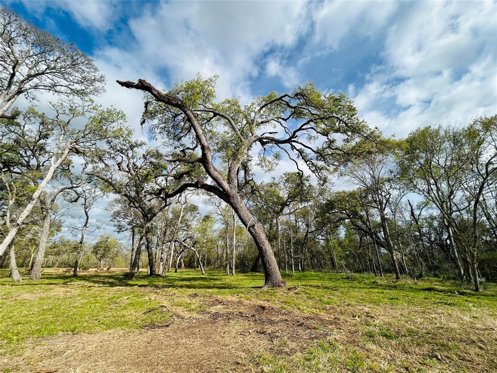 586 Cabana Trail, Angleton, Texas image 6