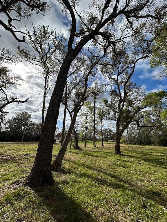 586 Cabana Trail, Angleton, Texas image 4