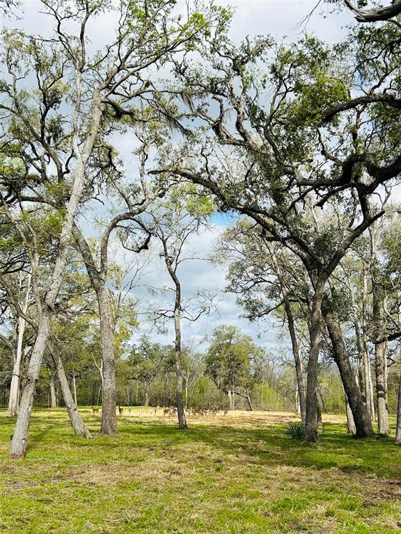 586 Cabana Trail, Angleton, Texas image 14