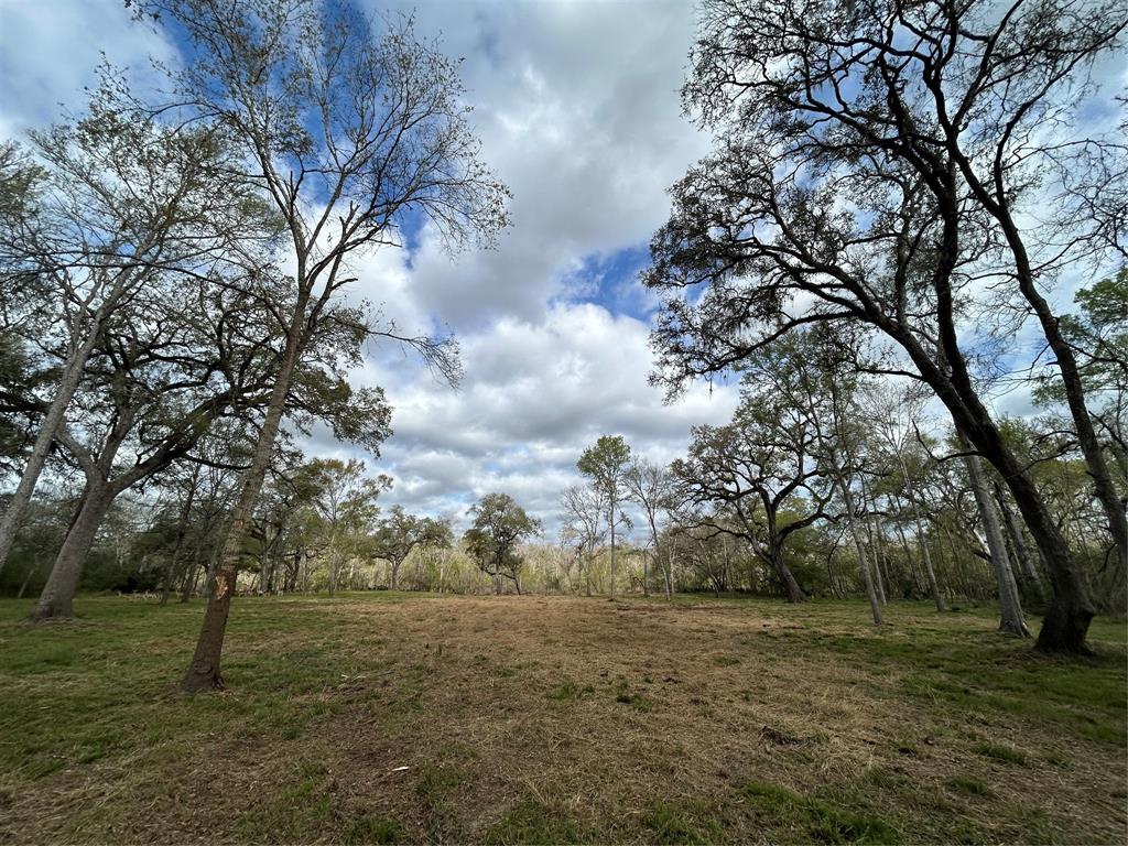 586 Cabana Trail, Angleton, Texas image 3