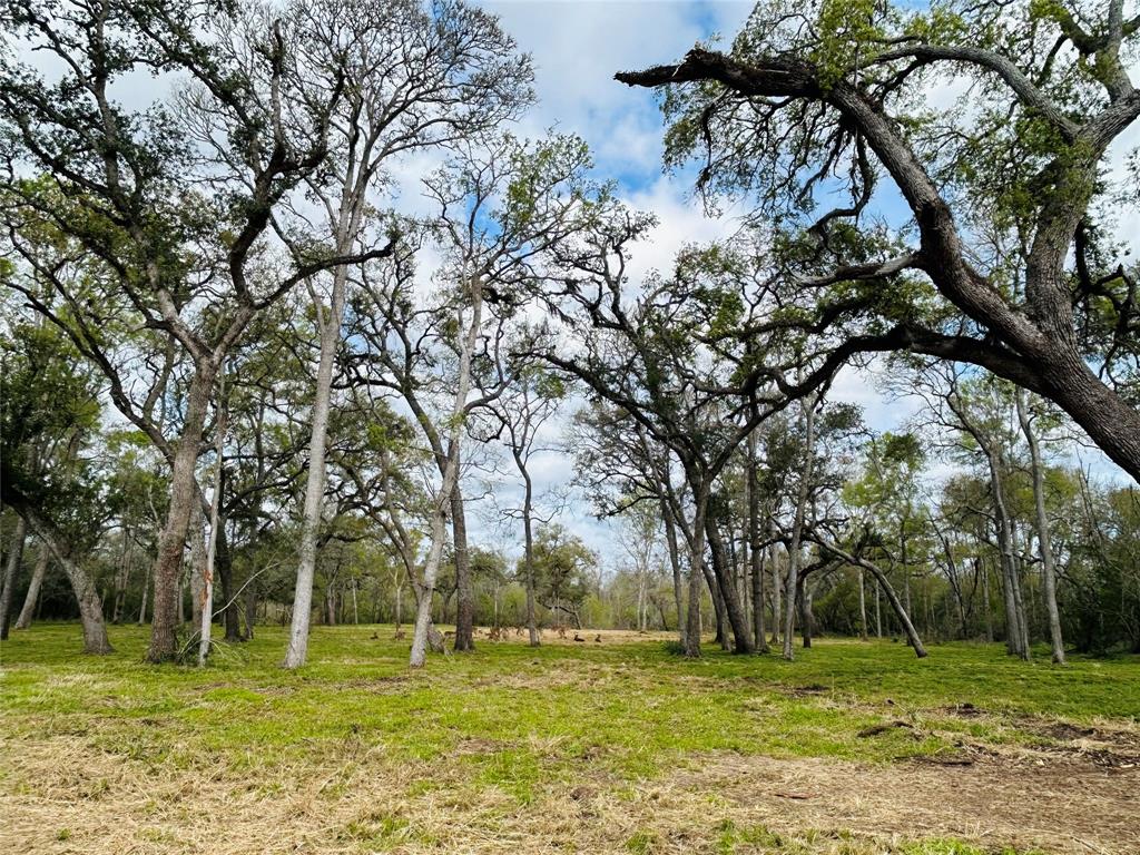 586 Cabana Trail, Angleton, Texas image 8