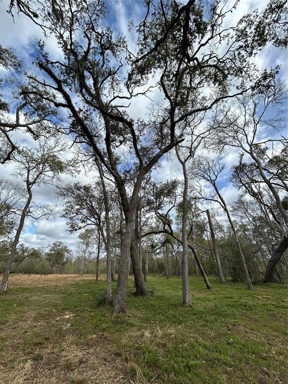 586 Cabana Trail, Angleton, Texas image 17
