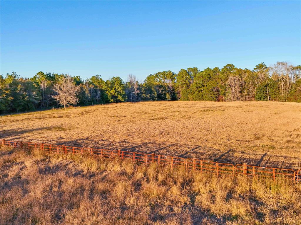 489 Cr 4335, Woodville, Texas image 21