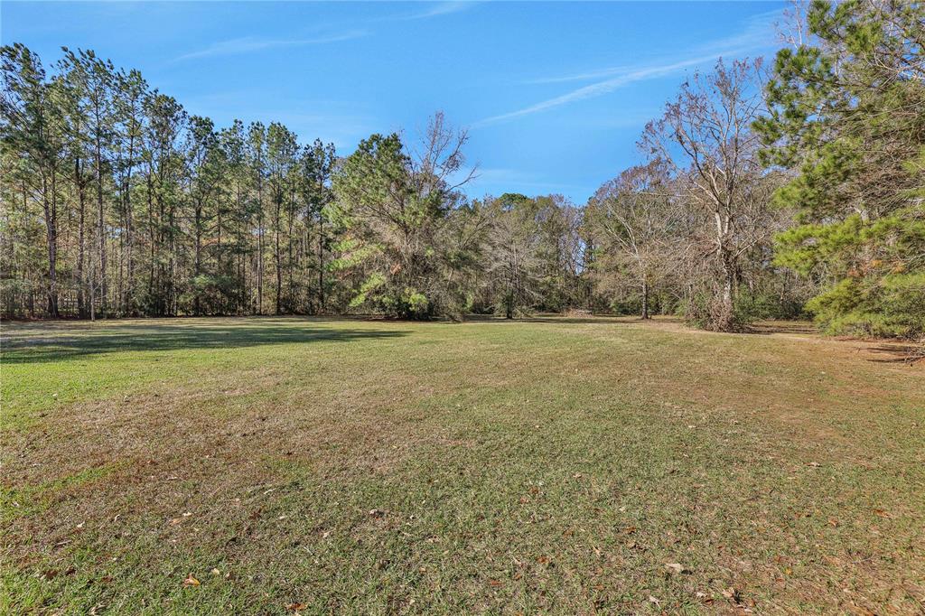 23957 Majestic Forest, New Caney, Texas image 31