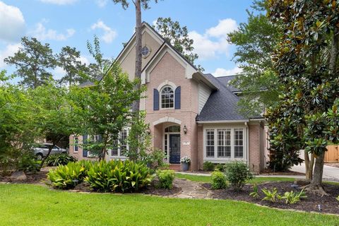51 N Frosted Pond Drive The Woodlands TX 77381