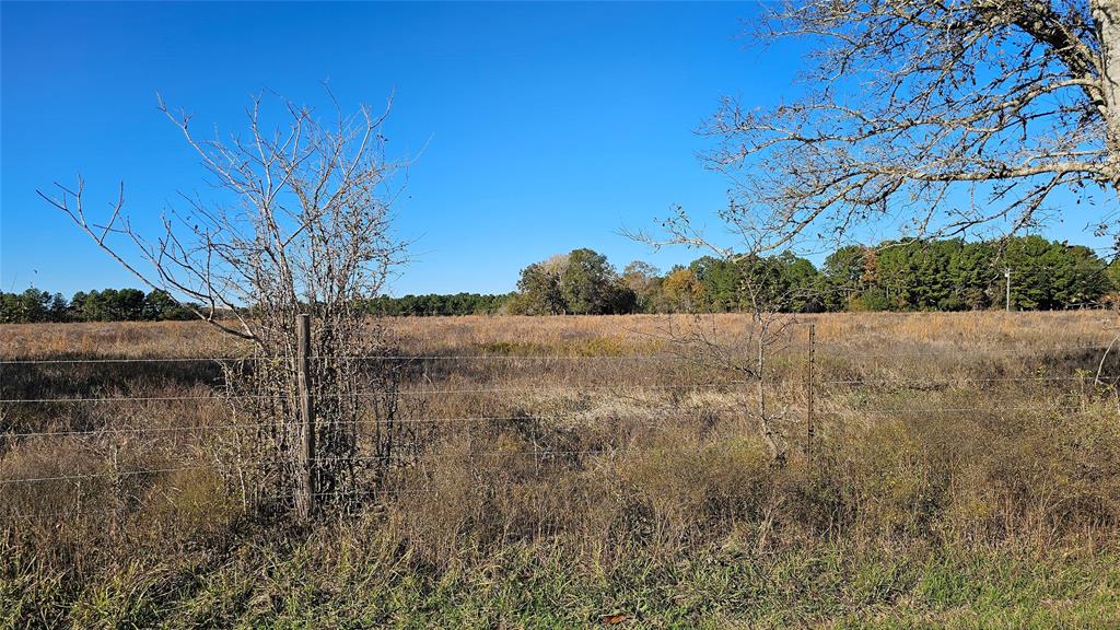 TBD Podraza Road, New Waverly, Texas image 3