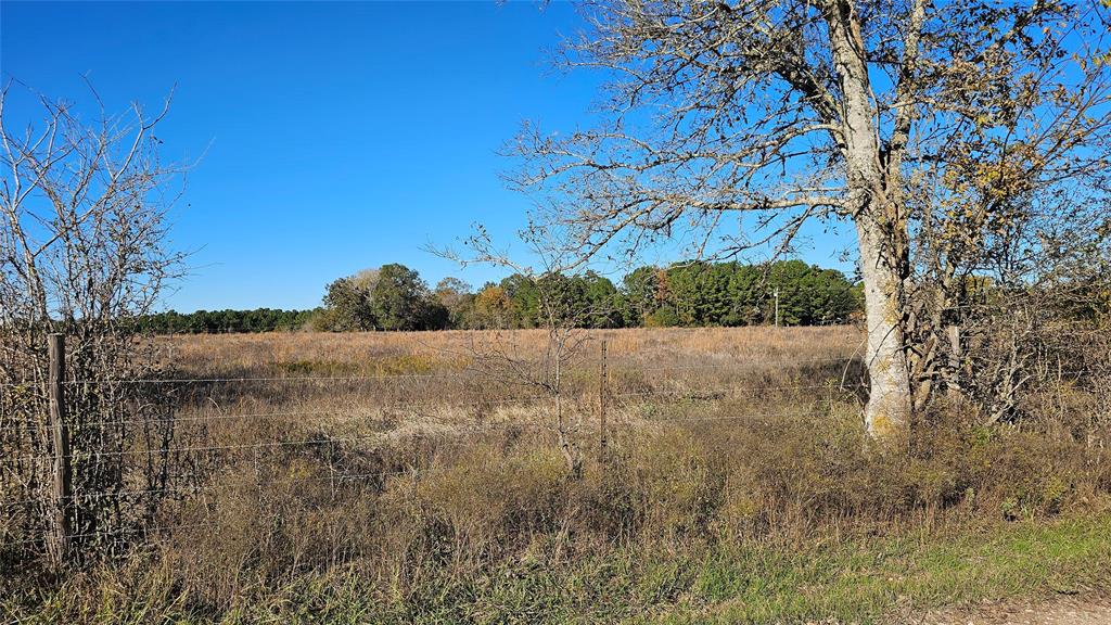 TBD Podraza Road, New Waverly, Texas image 2