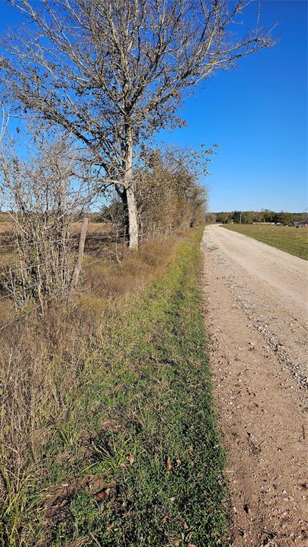 TBD Podraza Road, New Waverly, Texas image 1
