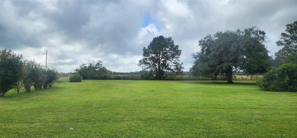 Jobe Wilson Road, Anahuac, Texas image 1