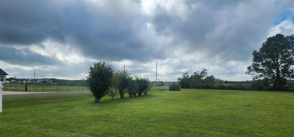 Jobe Wilson Road, Anahuac, Texas image 4