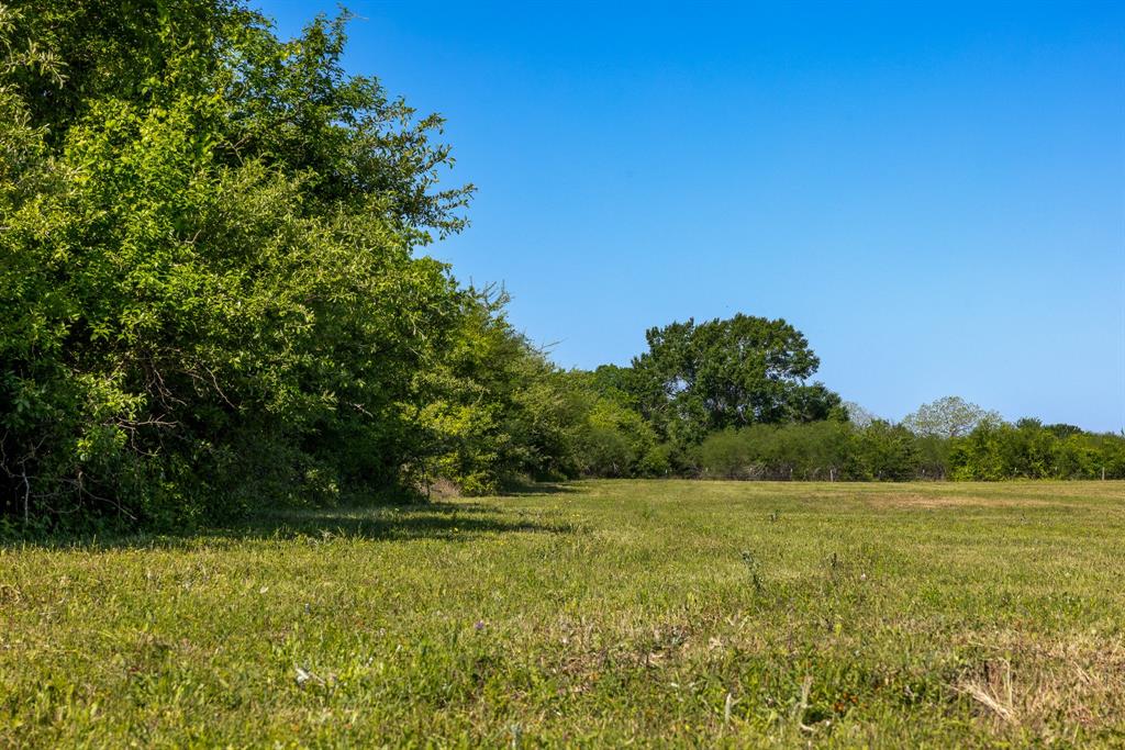 00 Sauney Chapel Road, Chappell Hill, Texas image 8