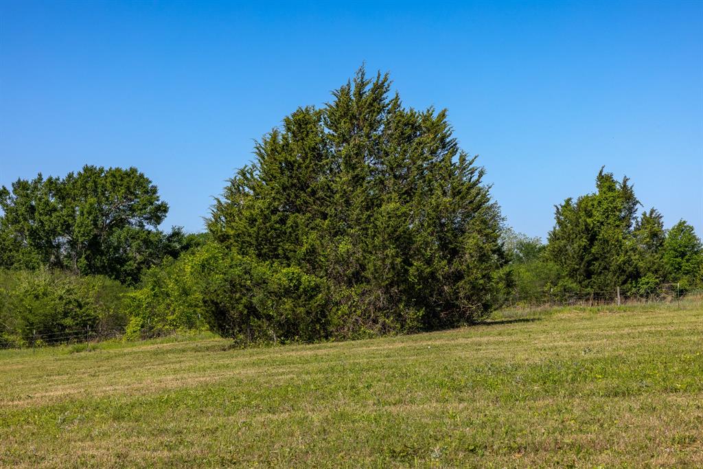 00 Sauney Chapel Road, Chappell Hill, Texas image 3