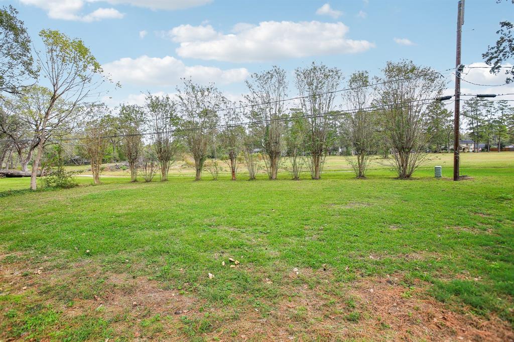 6427 Bolinas Ct, Rosharon, Texas image 29