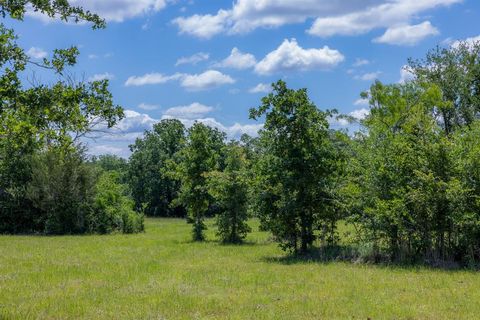 Photo of 6798 Atakapan Trail, Bedias, TX 77831 (MLS # 77016840)