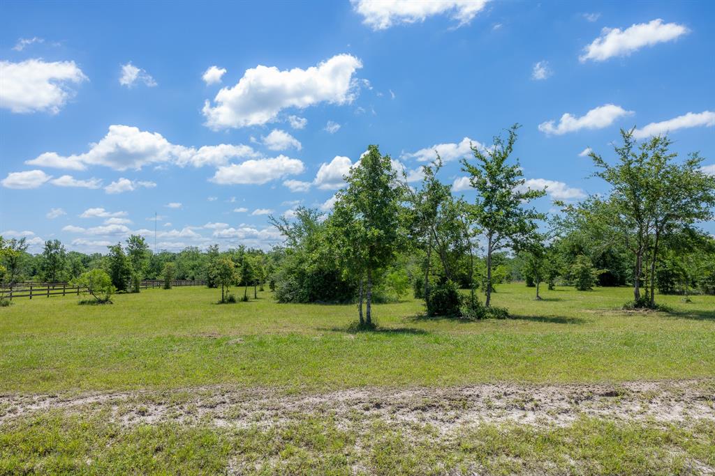 6798 Atakapan Trail, Bedias, Texas image 3