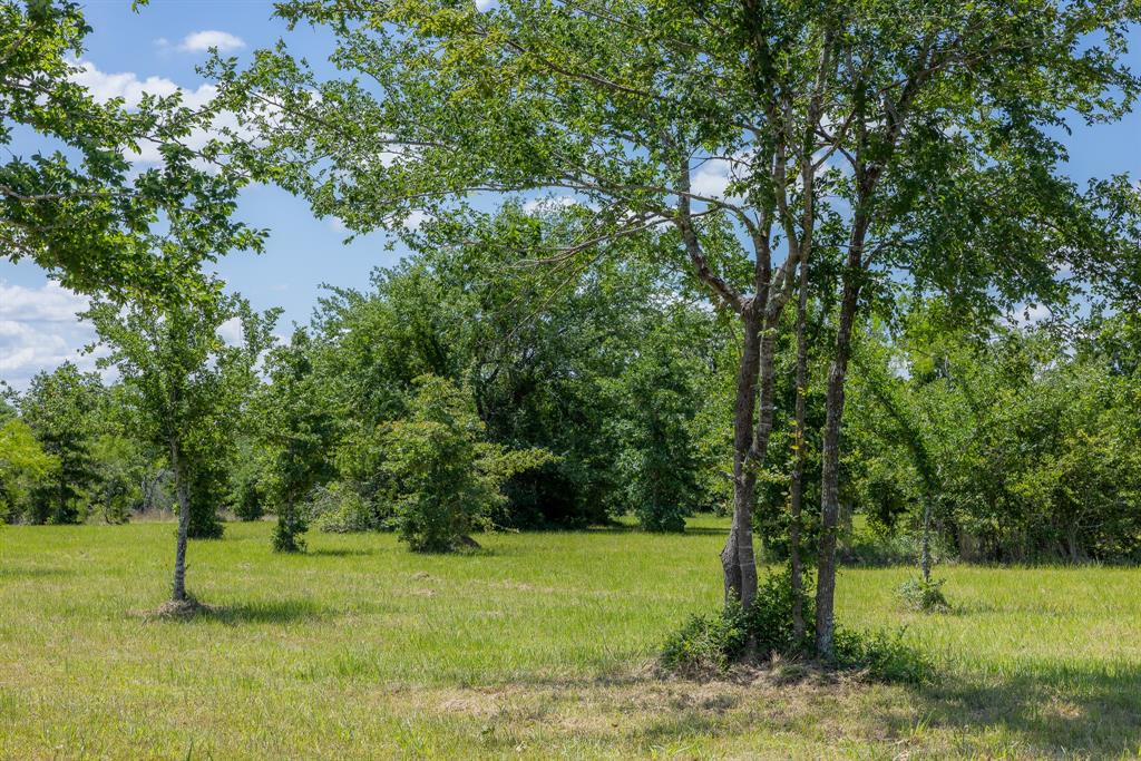 6798 Atakapan Trail, Bedias, Texas image 4