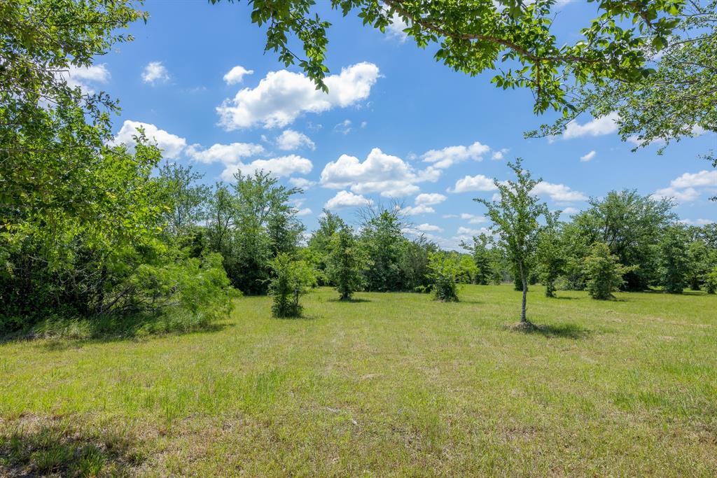 6798 Atakapan Trail, Bedias, Texas image 5