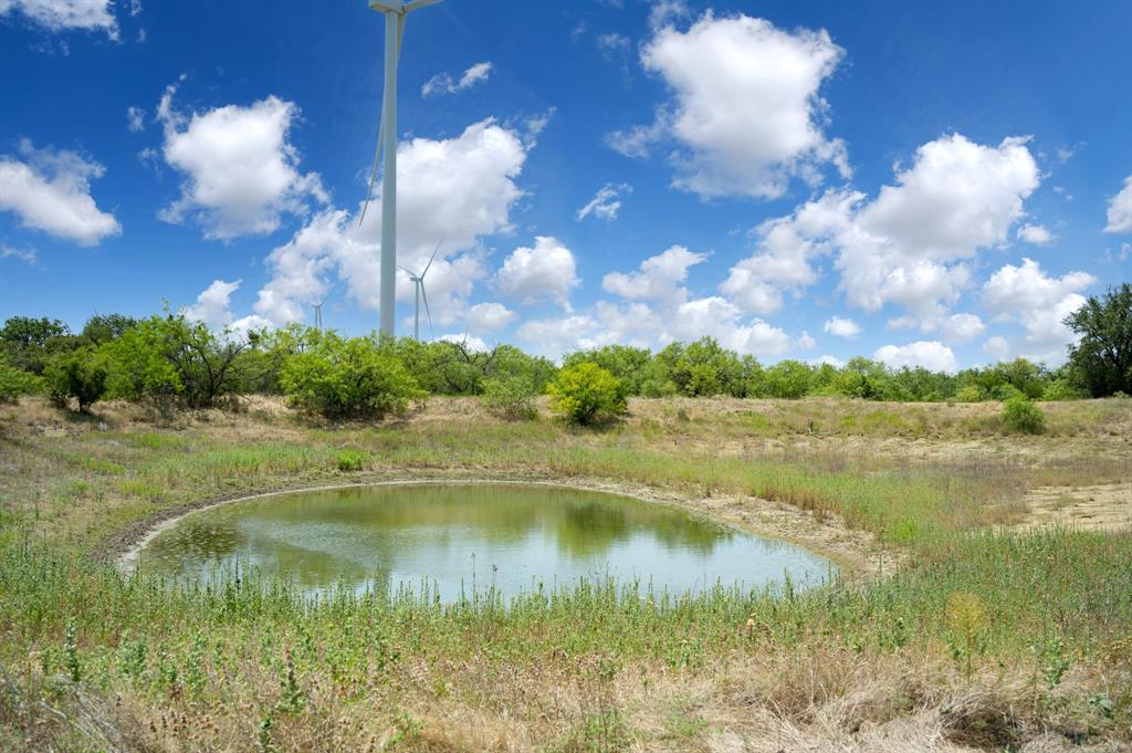 15055 County Road 306, Baird, Texas image 41