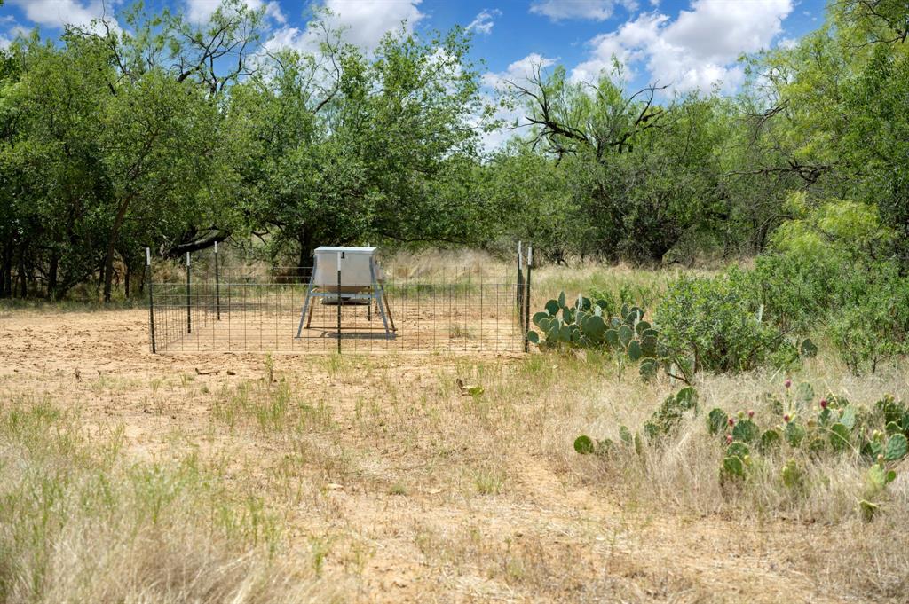 15055 County Road 306, Baird, Texas image 43