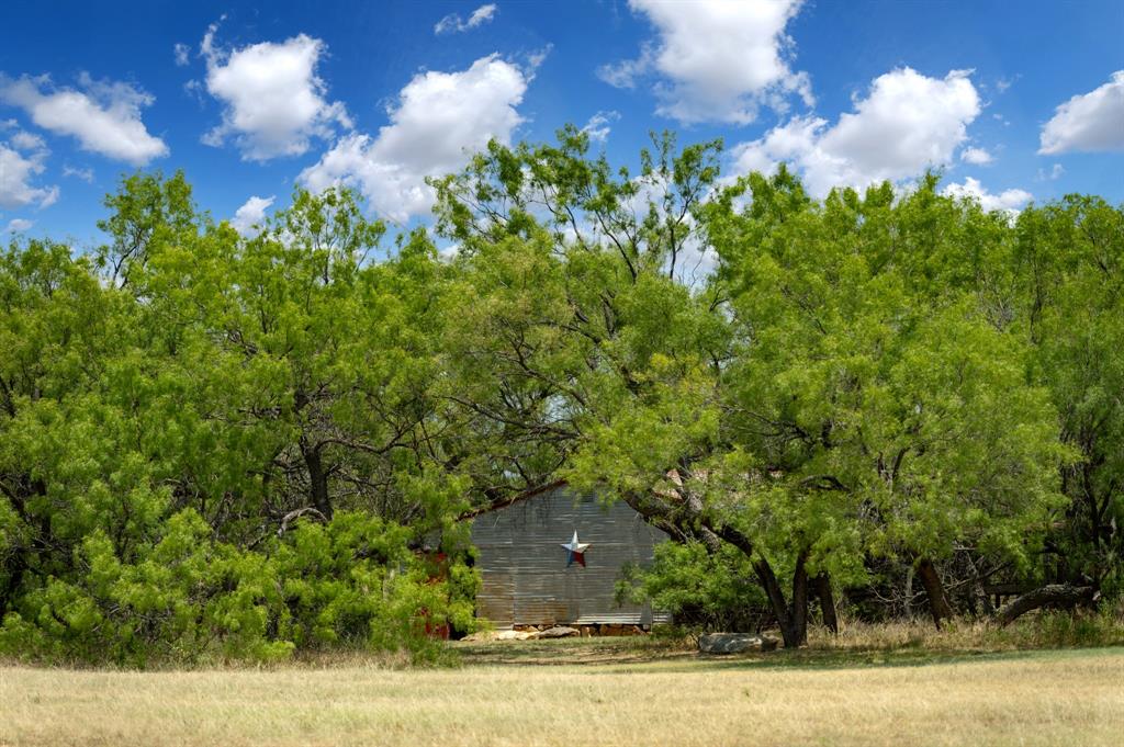 15055 County Road 306, Baird, Texas image 30