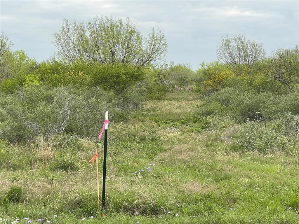 Lot 4 Pr Frio Estates Drive, Moore, Texas image 3