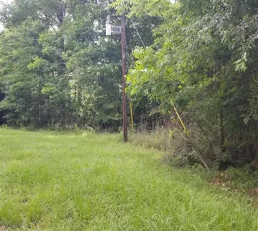 TBA Winding Creek, Shepherd, Texas image 4