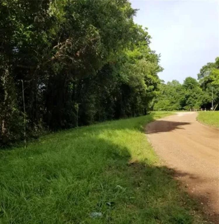 TBA Winding Creek, Shepherd, Texas image 2