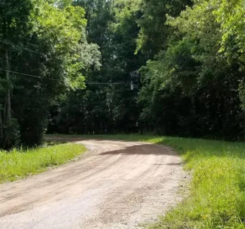 TBA Winding Creek, Shepherd, Texas image 3