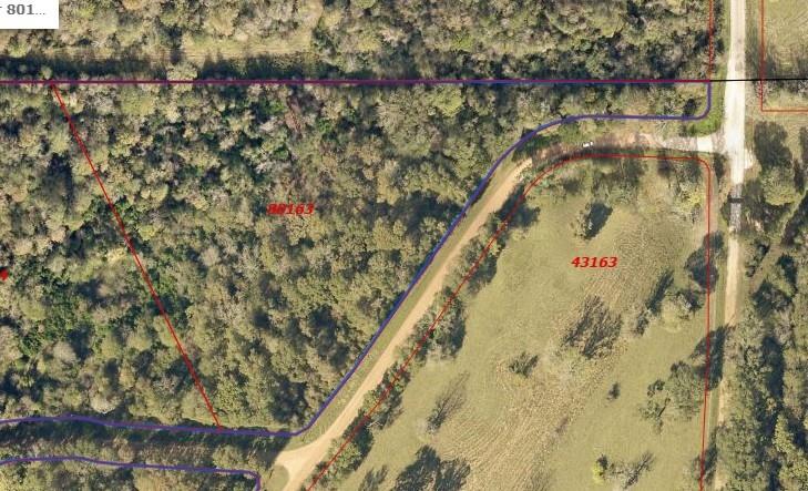 TBA Winding Creek, Shepherd, Texas image 1
