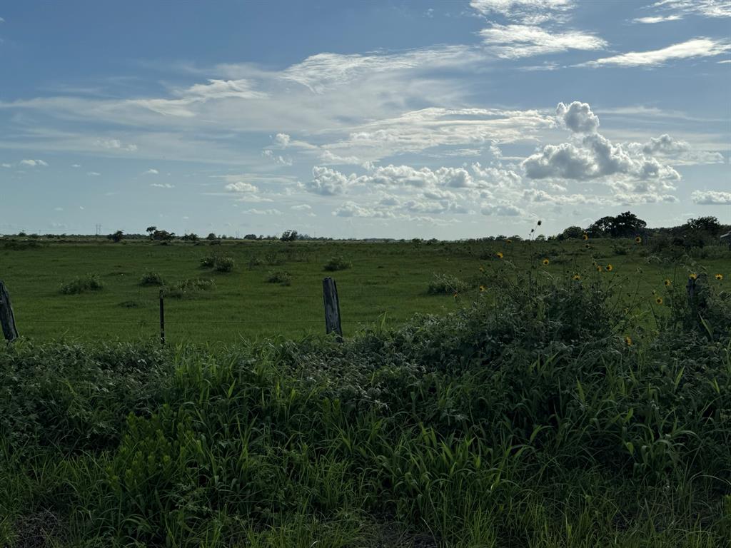 CR308 FM1163
