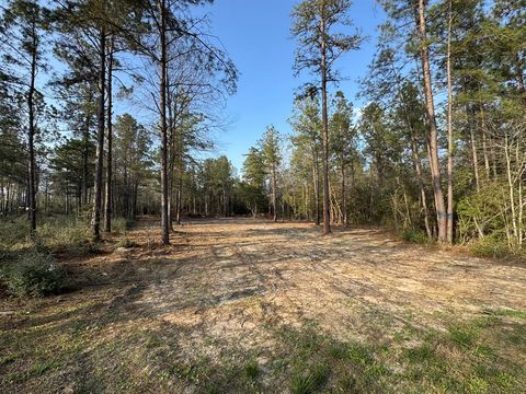 Photo of 159 Gypsum Road, New Waverly, TX 77358 (MLS # 73045341)